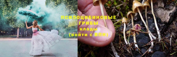 прущая мука Алзамай